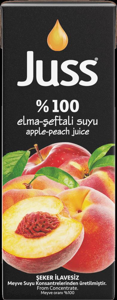 JUSS 1/5 %100 Elma - Şeftali Nektarı 27 li