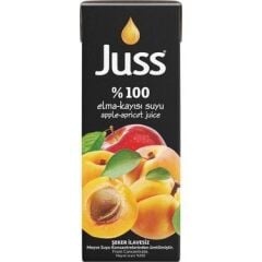 JUSS 1/5 %100 Elma - Kayısı Nektarı 27 li